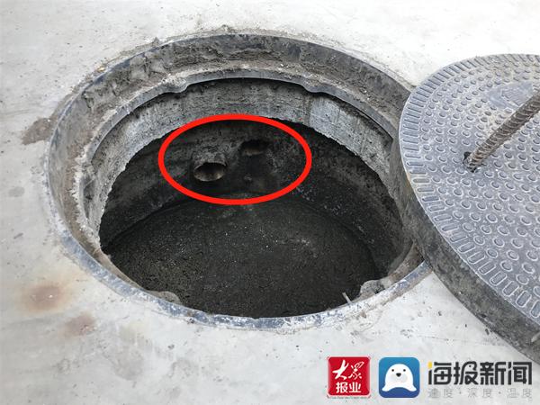福建臺幫幫團(tuán)最新一期揭秘，小巷深處的隱藏美食瑰寶