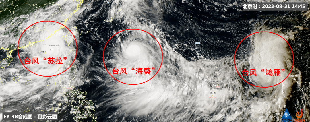 廣東臺風(fēng)最新消息與小巷深處的獨(dú)特風(fēng)味風(fēng)情