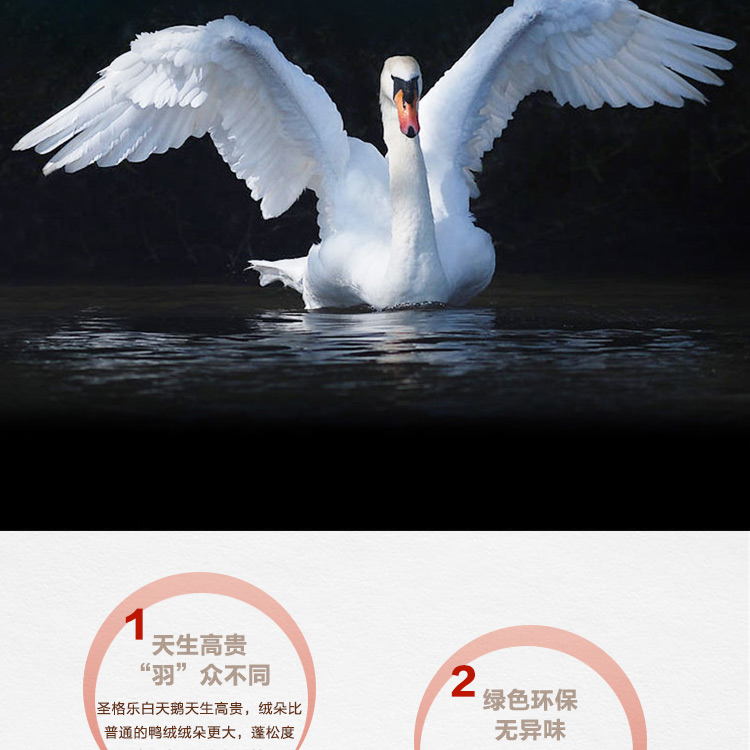 探索小巷羽絨寶藏，90白鵝絨價(jià)格與溫暖故事