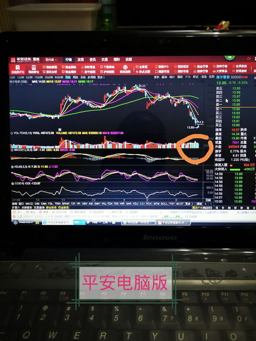 股票電腦版，開啟溫馨的股市之旅