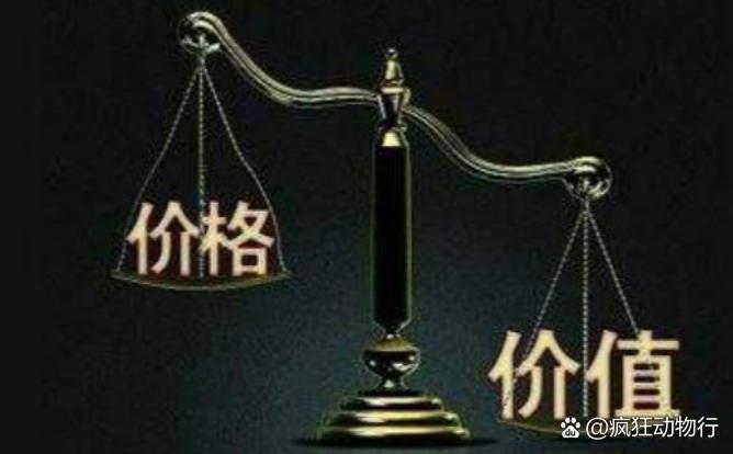 價格與價值解析，差異何在？