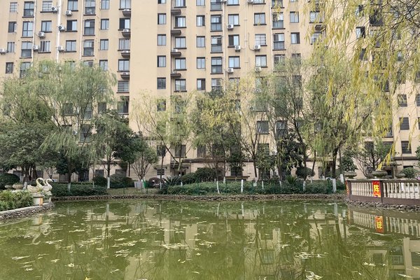 中豪明珠城最新價格，時代印記與城市的脈動