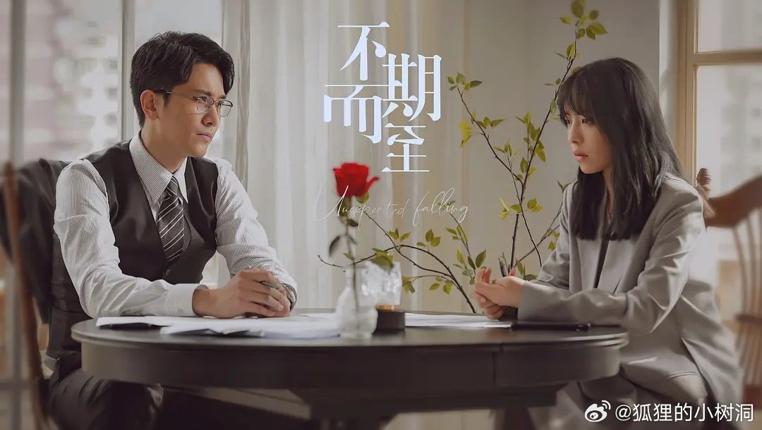 不期而至電視劇，從入門到進階的觀看指南