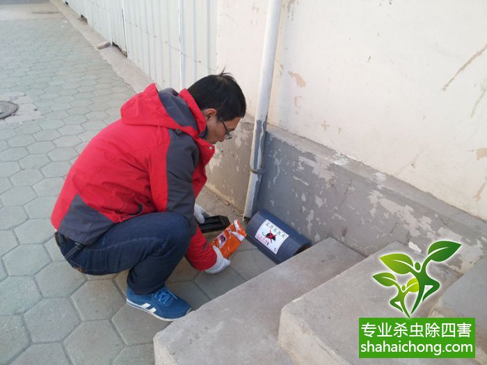 最新滅鼠技術(shù)的觀點論述與立場闡述，創(chuàng)新方法的探索與挑戰(zhàn)