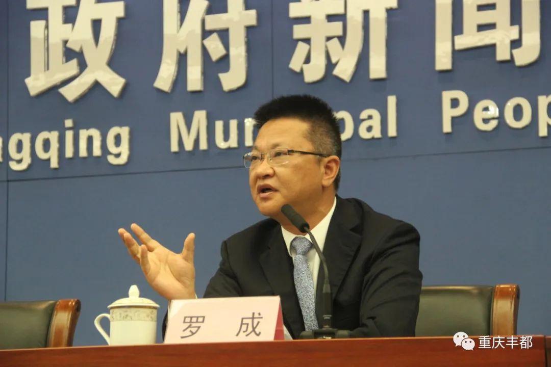 豐都新聞快訊，日常溫情與陪伴的瞬間