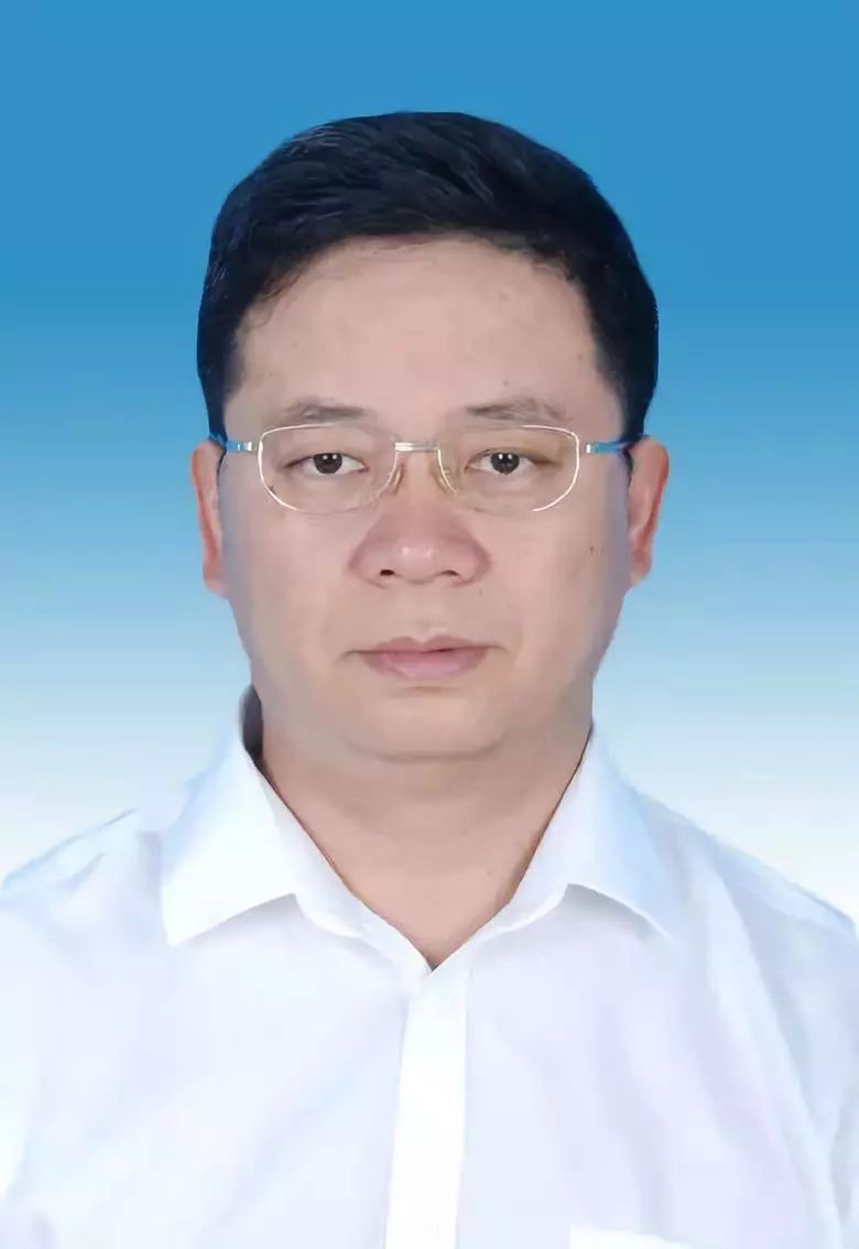 開遠市干部任免信息詳解，最新任免指南與動態(tài)更新