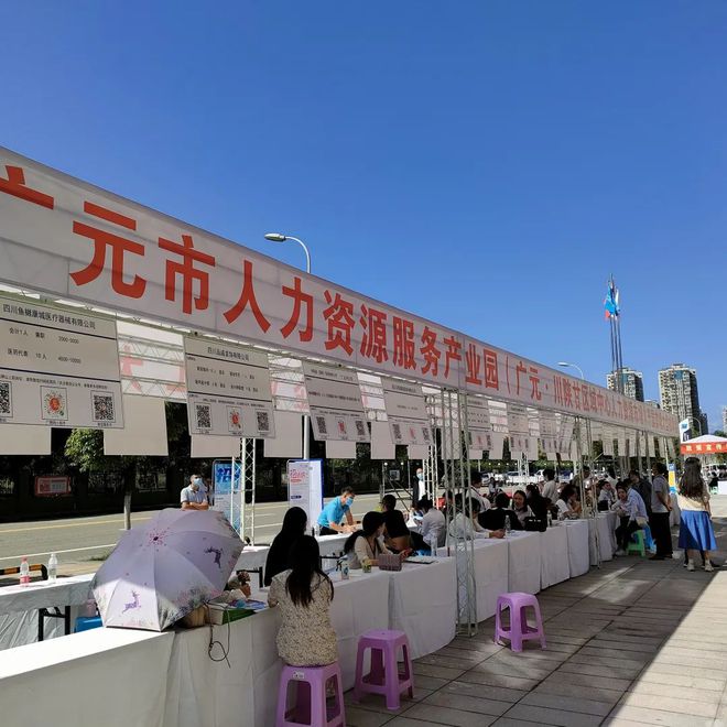 廣元最新招聘資訊詳解，觀點闡述與解析