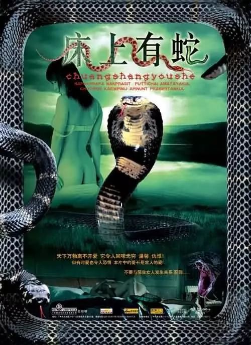 最新蛇片，蛻變的旅程，召喚自信與成就感的冒險之旅