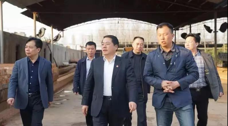 商丘王仲田最新動態(tài)，探索自然美景的旅行，尋求內心平和之旅