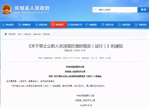 酒駕處罰2024最新標(biāo)準(zhǔn)詳解，步驟指南與更新概覽