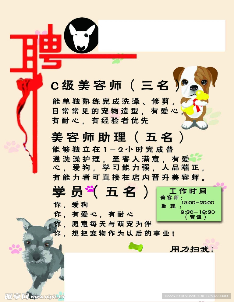 寵物店招聘最新動態(tài)，共探自然之美，尋求內(nèi)心寧靜
