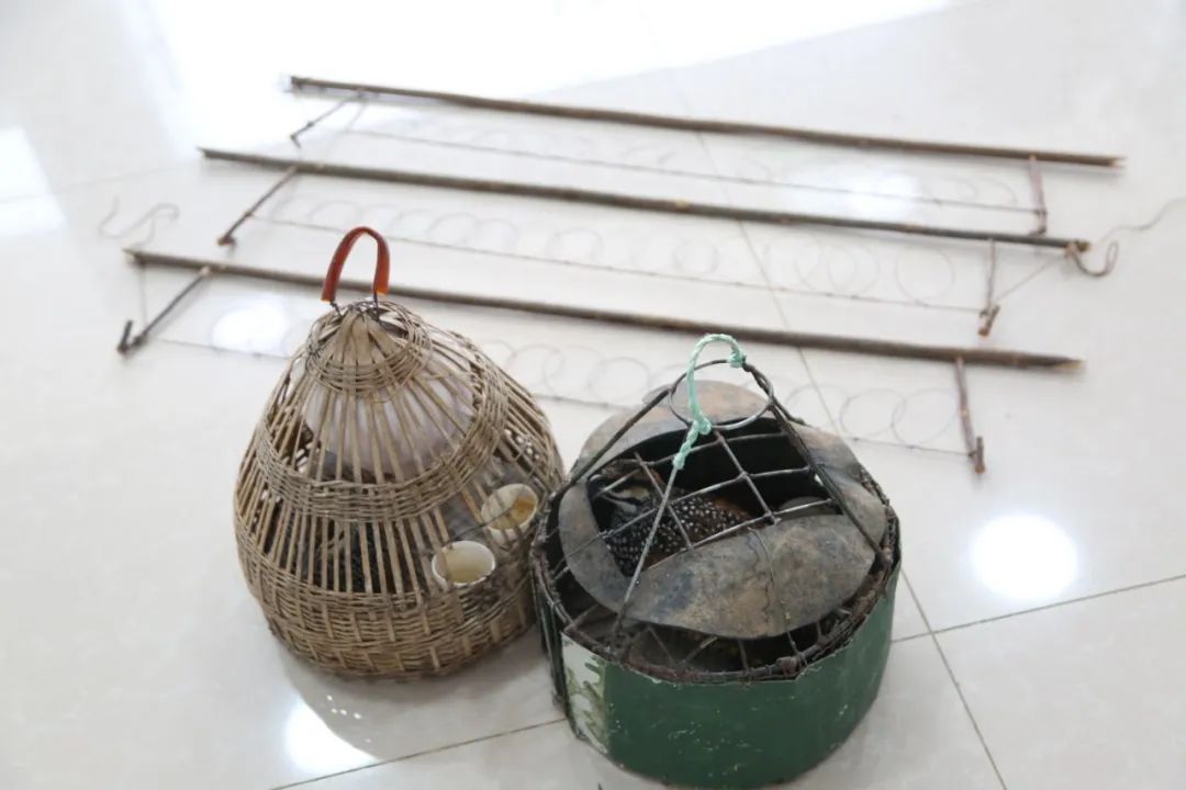 小巷中的神秘寶藏揭秘，最新捕鳥工具揭秘