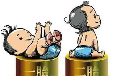 最新雙胞胎補(bǔ)助政策，攜手同行，助力孕育夢(mèng)想之路
