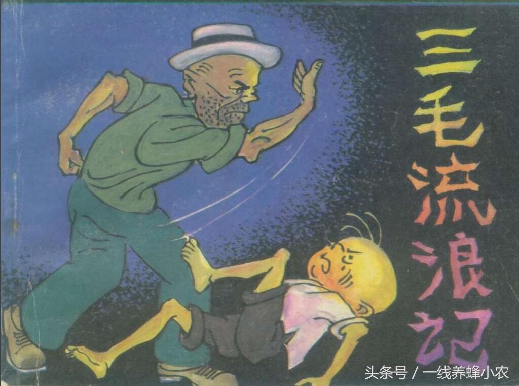 上海三毛最新動態(tài)，自然美景探索之旅啟幕