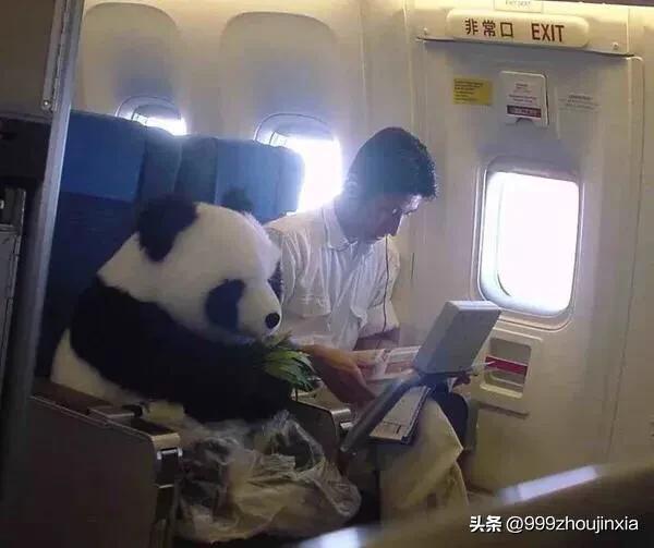 追逐變化之翼，學(xué)習(xí)鑄就自信與成就——虛幻最新探討