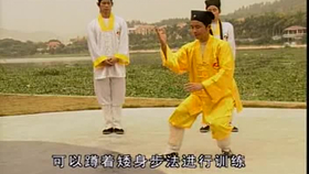 太極最新音樂，傳統(tǒng)與現(xiàn)代的完美融合藝術展現(xiàn)