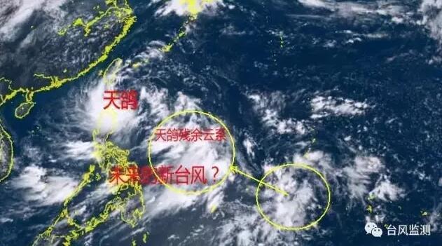 最新臺風天鴿動態(tài)更新，實時掌握臺風情況