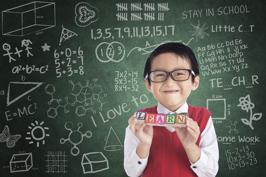 小學(xué)數(shù)學(xué)最新課程標(biāo)準(zhǔn)，深度解析與觀點(diǎn)闡述