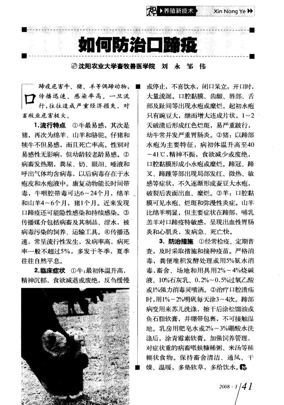口蹄疫最新科研，自然探險與內(nèi)心平和的追尋之旅