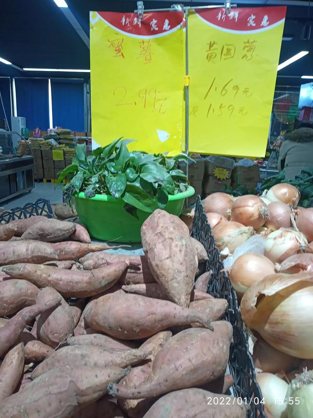 最新地瓜價(jià)格解析，查詢指南與任務(wù)攻略