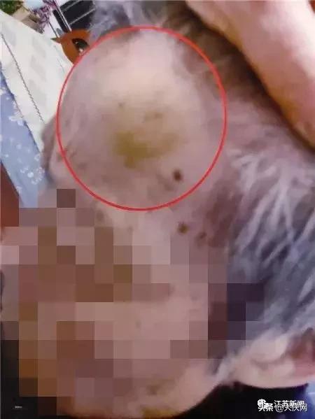揪脖子最新視頻，探秘小巷風情小店，獨家揭秘！