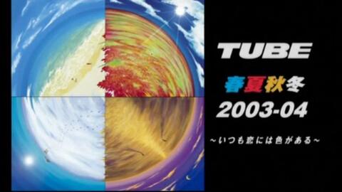 Tube03最新動態(tài)，探索要點、趨勢與發(fā)展