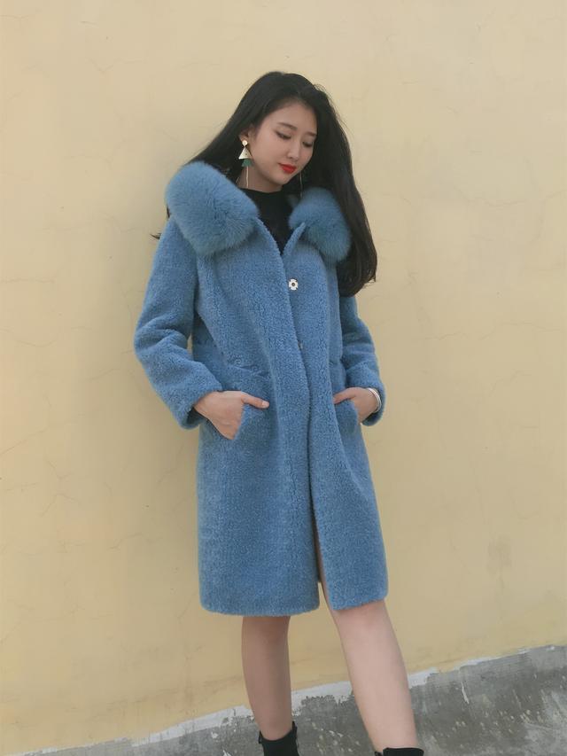 三七花最新價格揭秘，溫馨小故事中的尋找之旅