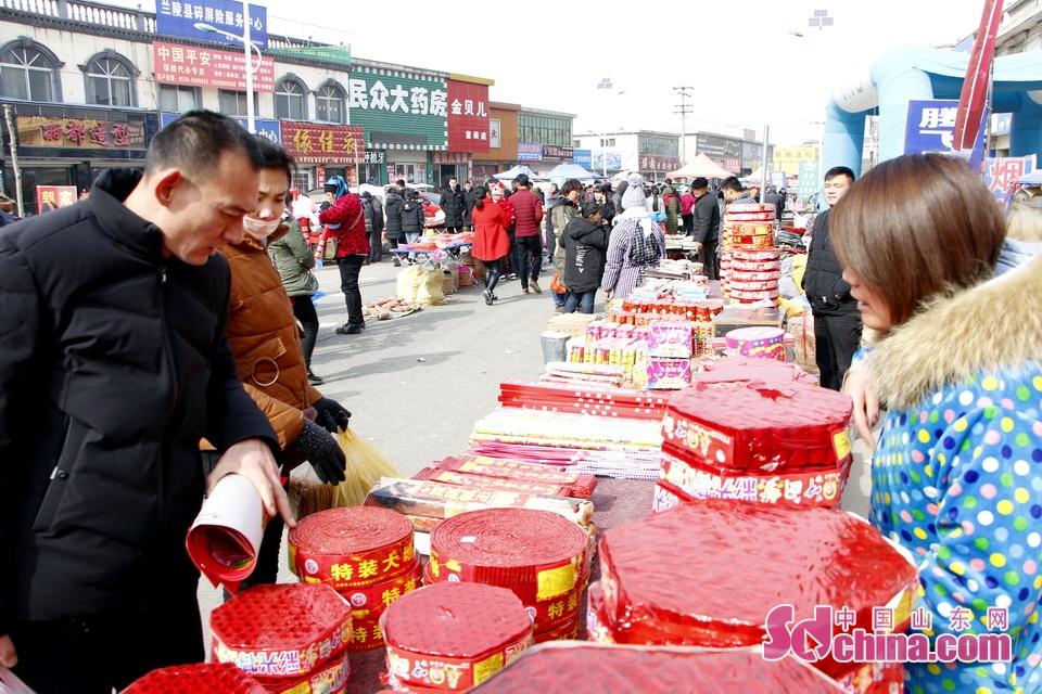 淘元素最新，淘淘的奇妙冒險之旅與友情的溫暖體驗(yàn)