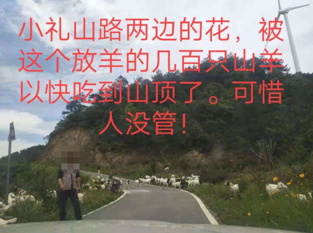 大悟最新路，探索未知，自信成就夢(mèng)想之旅的啟程