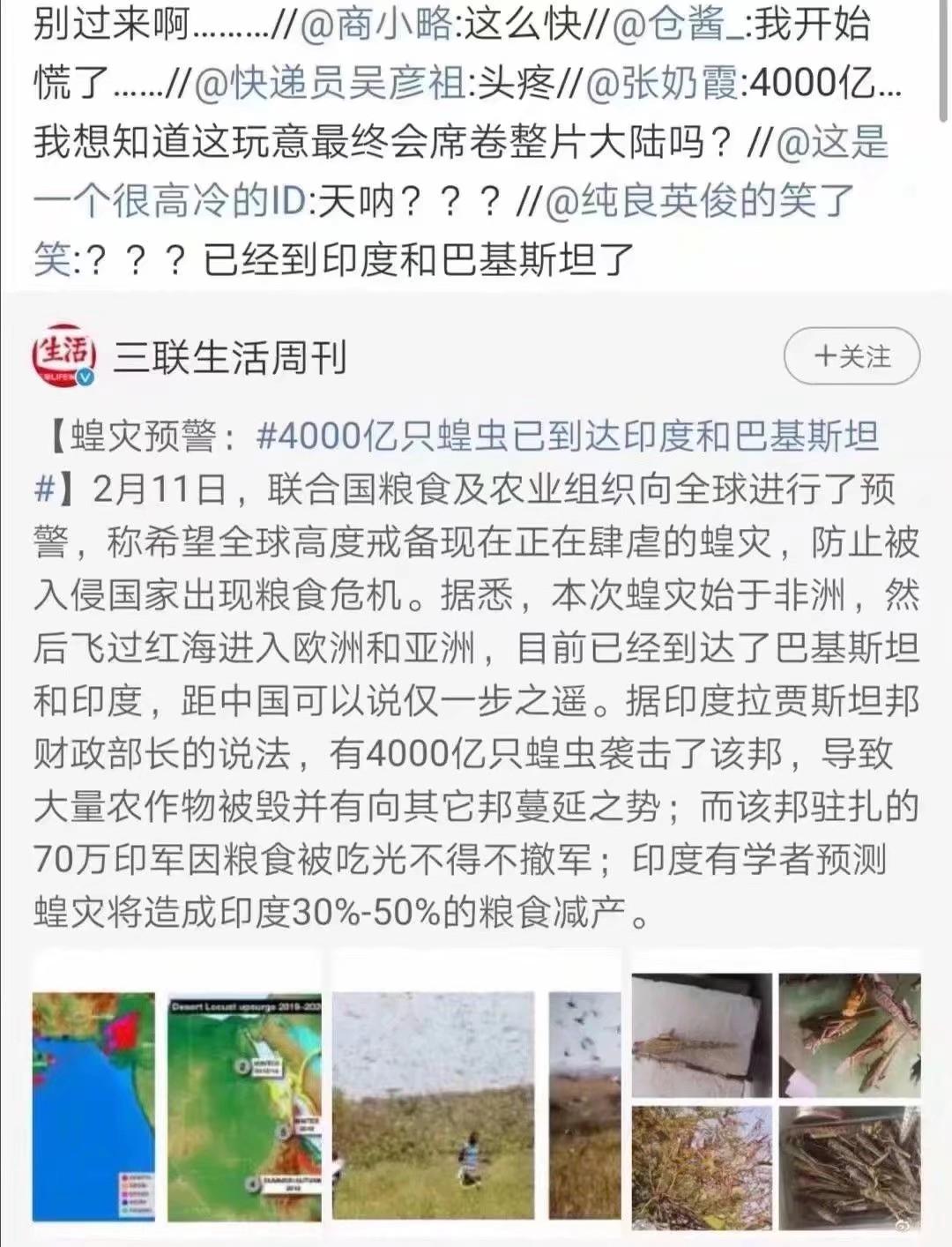 蝗蟲最新動(dòng)態(tài)，防治與監(jiān)測的全面指南