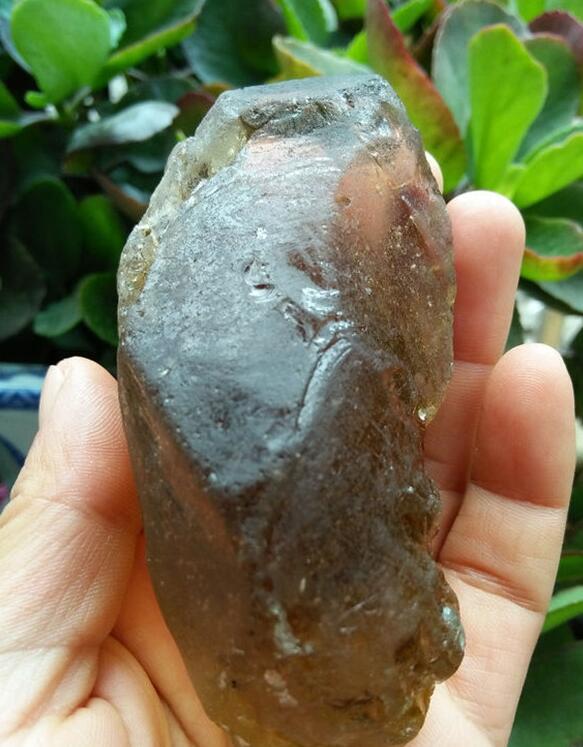 最新鑒定法，揭示友情的印記與家的溫馨