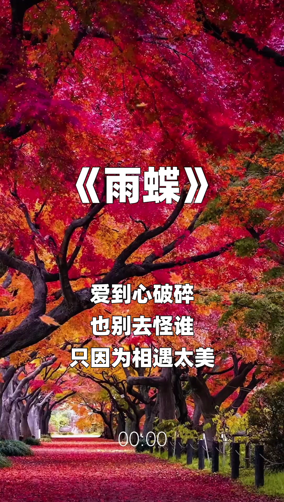 雨蝶最新步驟指南，如何完成任務或學習技能？
