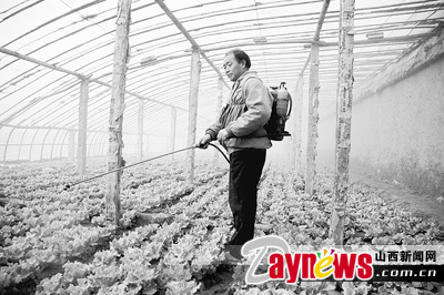 最新農(nóng)藥抽檢結(jié)果出爐，守護(hù)農(nóng)田安全，你我他的共同責(zé)任