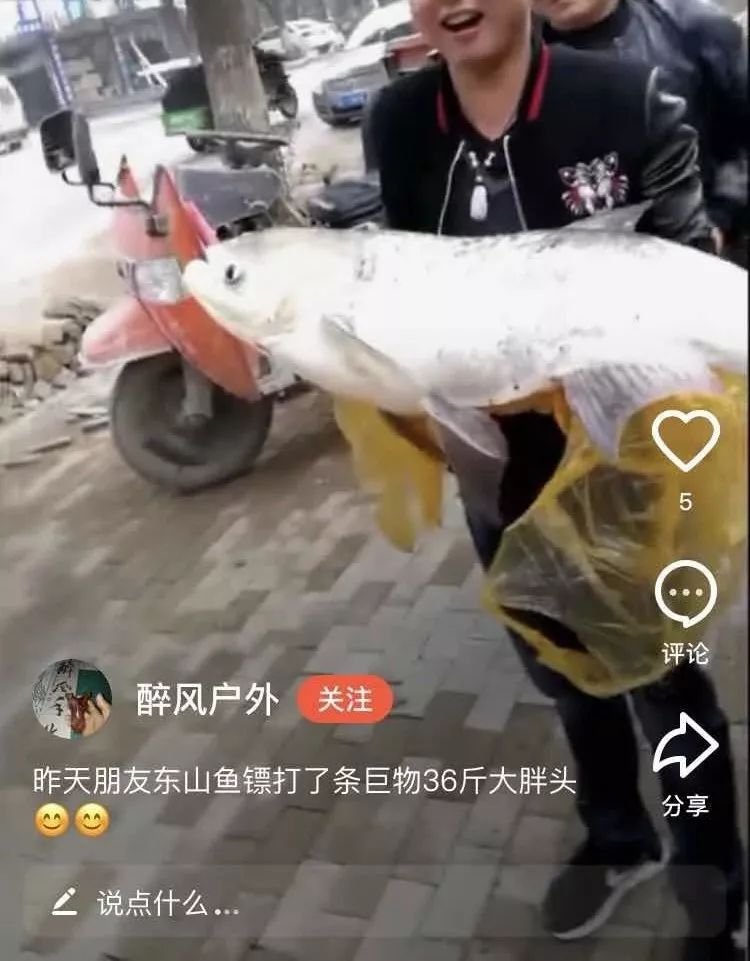 射魚神器進化升級，學(xué)習(xí)變革與自信成就之源