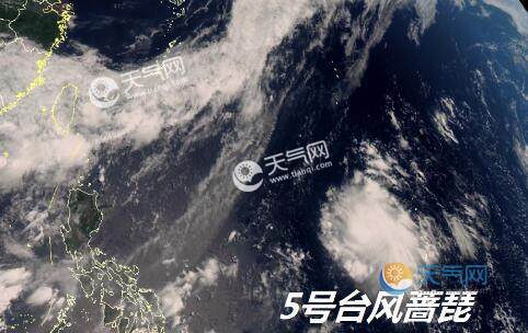 最新實(shí)時(shí)臺(tái)風(fēng)風(fēng)力查詢(xún)指南，風(fēng)力信息及查詢(xún)步驟全解析
