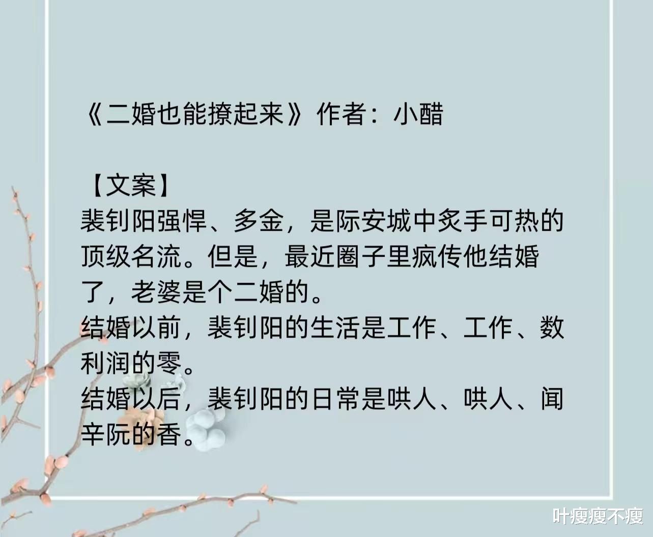 最新二婚小說(shuō)，小巷深處的浪漫故事