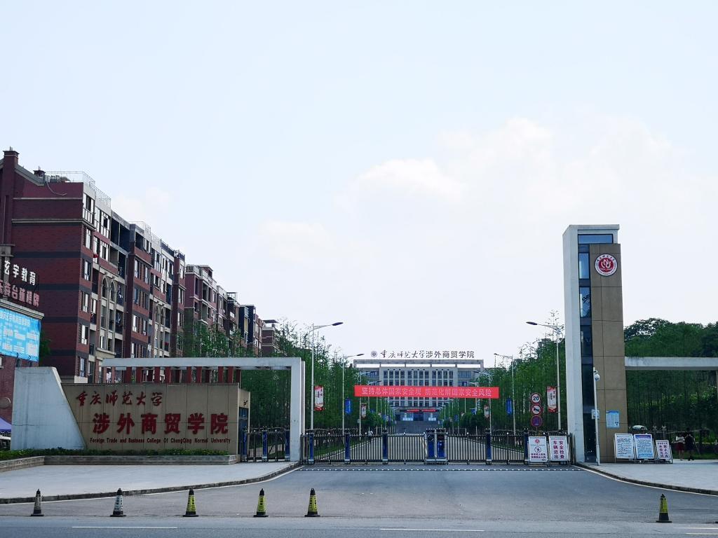 最新本科專業(yè)探秘，小巷中的隱藏寶藏之門